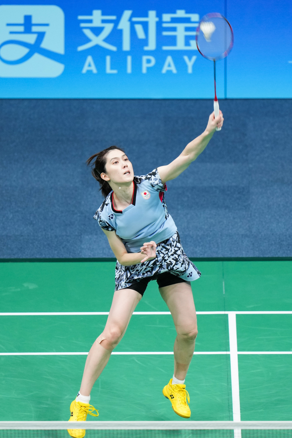 成为许多青 成为许多青